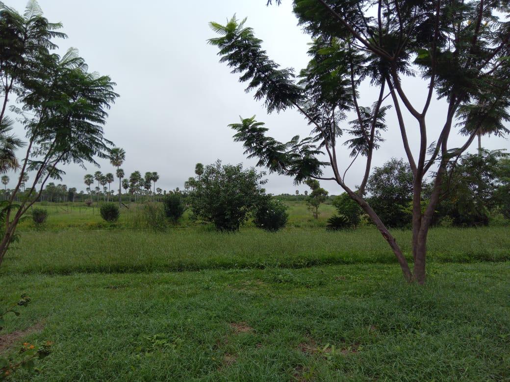 Fortín Yunká - Imagen